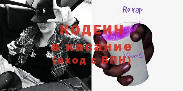 шишки Абаза