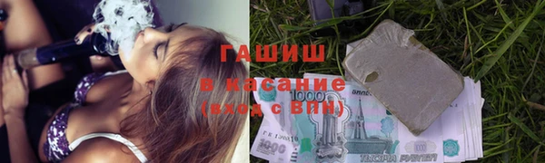 шишки Абаза