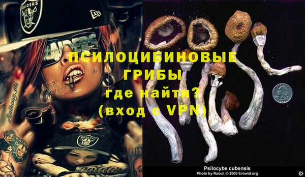 меф Нягань