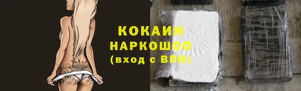шишки Абаза