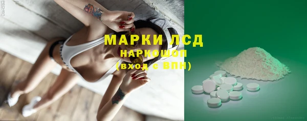 шишки Абаза