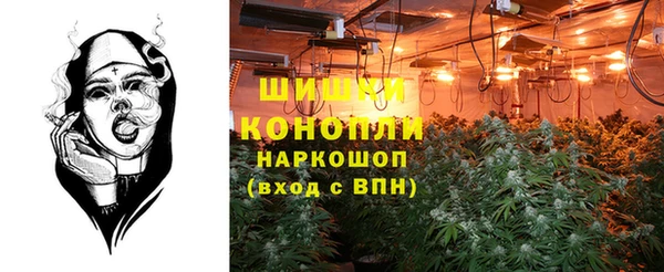 шишки Абаза