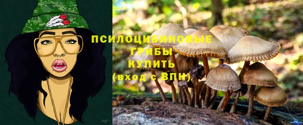 экстази Абинск