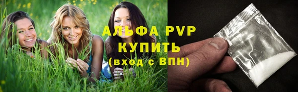 шишки Абаза