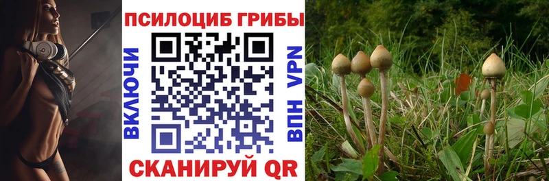 Галлюциногенные грибы мицелий  цены   Петров Вал 